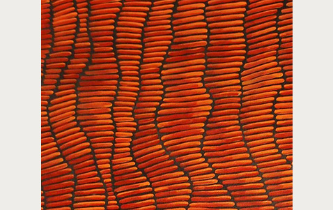 Aboriginal artwork