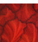 Thumbnail - Abstract glass artwork