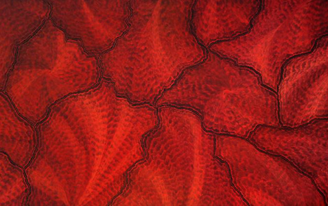 Aboriginal artwork
