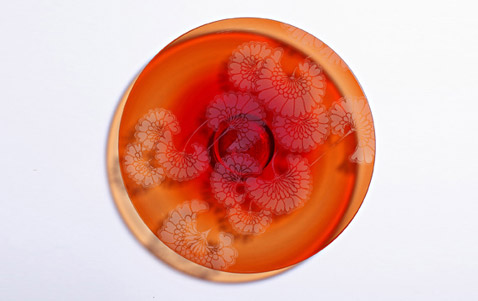 Abstract glass artwork